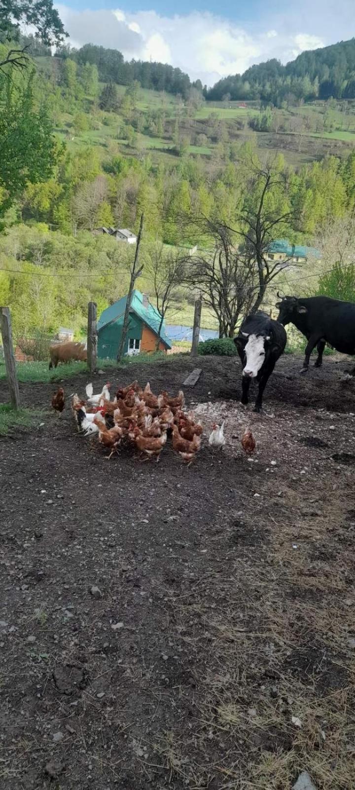 Rural Household Baltic *